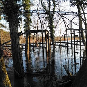 Floods and resulting damage, 11/12/15