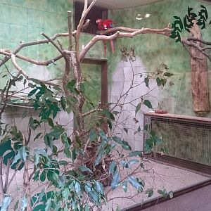 Indoor Macaw-enclosure
