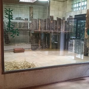 Indoor Sumatran tiger-enclosure