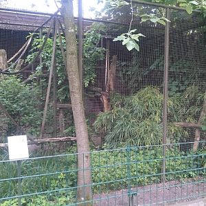 Marmoset outdoor-enclosure