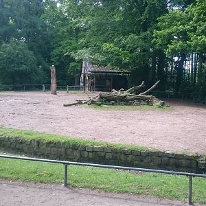 Camel enclosure