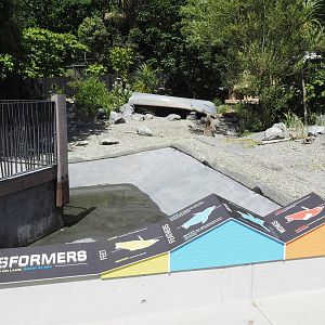 Wellington Zoo - Meet the Locals Penguin Exhibit