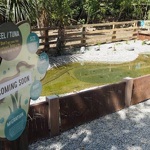 Wellington Zoo - Meet the Locals Eel Exhibit