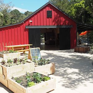 Wellington Zoo - Meet the Locals Barn