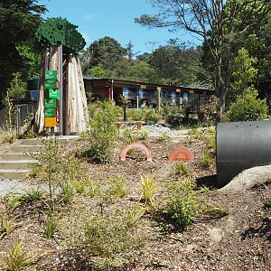 Wellington Zoo - Meet the Locals Native Bush