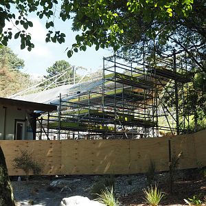 Wellington Zoo - Meet the Locals Kea Aviary