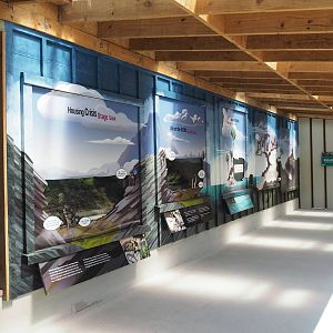 Wellington Zoo - Meet the Locals Herp Exhibits