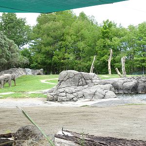 Asian Elephant enclosure, November 2015