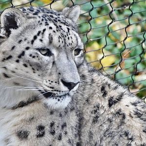 Dec. 2015 - Cat Canyon - Nubo