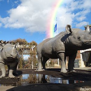 Dec. 2015 - Rhinoceros Statues - First Entrance