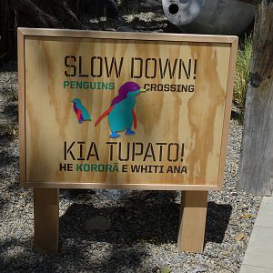 Penguin Sign, November 2015