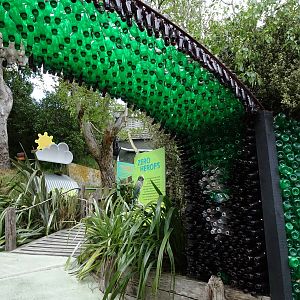 Recycled bottles, November 2015