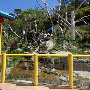 Sun Bear Enclosure, November 2015