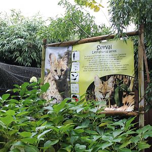 Information sign Servals