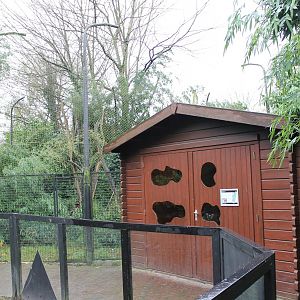 Ring-tailed lemur indoor and outdoor enclosure