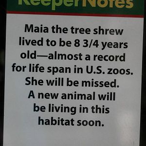 Sign inside the tree shrew exhibit - 12/14/15