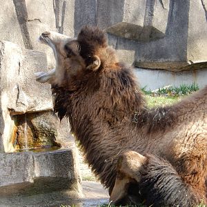 11/14/2015 - Open Wide!