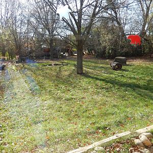 11/14/2015 - Gray Wolf Habitat