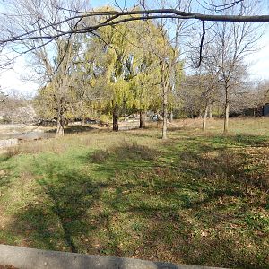 11/14/2015 - Moose Habitat