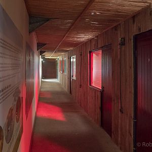 Grevys zebra (housing) : Whipsnade : 17 Dec 2015