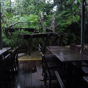 Breakfast site, December 2015