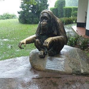 Ah Meng statue, December 2015