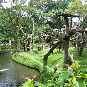 View of Orangutan island, December 2015