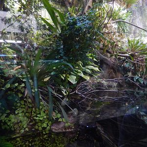 9/6/2015 - Caiman Exhibit