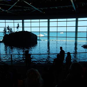 9/6/2015 - Oceanarium - What a View!