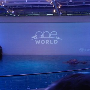 9/6/2015 - One World Show - The Opening