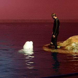 9/6/2015 - Beluga and Trainer