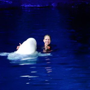 9/6/2015 - Beluga and Trainer