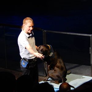 9/6/2015 - Dog and Trainer