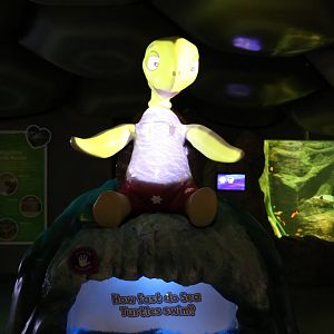 Talking turtle statue, September 2015.