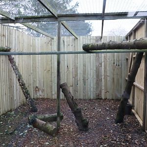 New flying squirrel outdoor enclosure, November 2015