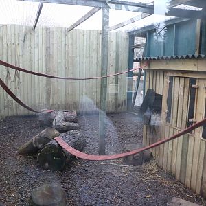 New palm civet outdoor enclosure, November 2015