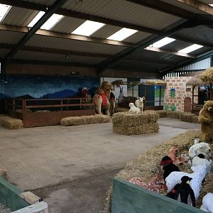 Nativity scene in the barn, November 2015