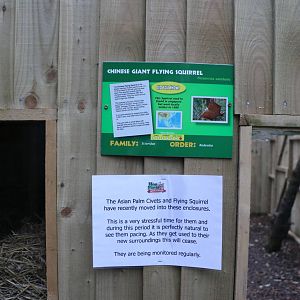 Flying squirrel signs, November 2015