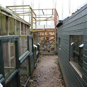 Pathway, November 2015