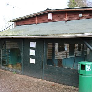 Kinkajou enclosure, November 2015
