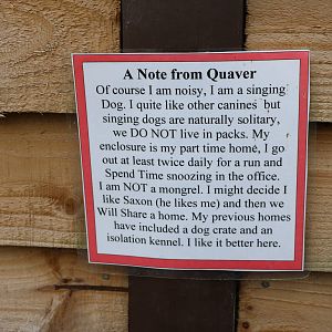 New Guinea Singing Dog notice, November 2015