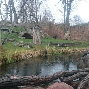 Outdoor enclosure Gorillas