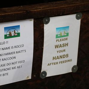 Raccoon sign - Windmill Animal Farm, November 2015