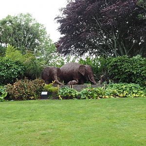 Brooklands Zoo - Elephant Sculptures