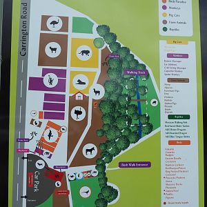 Pouakai Zoo - Map