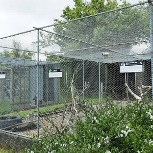 Pouakai Zoo - Aviaries