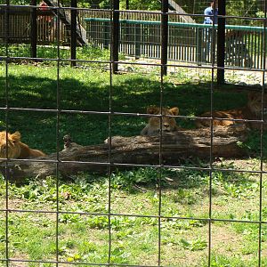 Bowmanville zoo-May 2015
