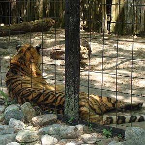 Bowmanville zoo-May 2015