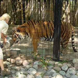 Bowmanville zoo-May 2015