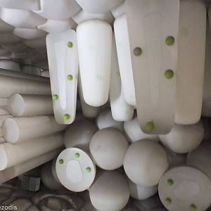 Inside of a Leaf in the Ecology Area - NHM London